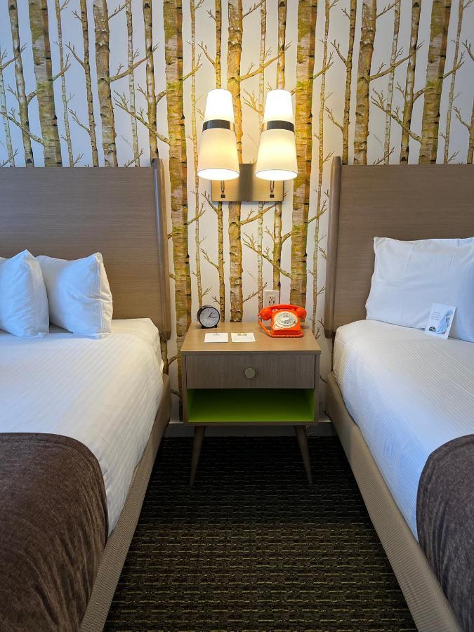 Double Room - Disability Access
